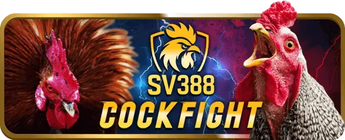 Hướng dẫn đăng ký và tham gia cá cược đá gà tại tg88 slot77